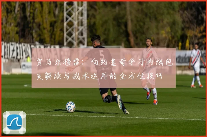 贾马尔穆雷：向约基奇学习内线包夹解读与战术运用的全方位技巧