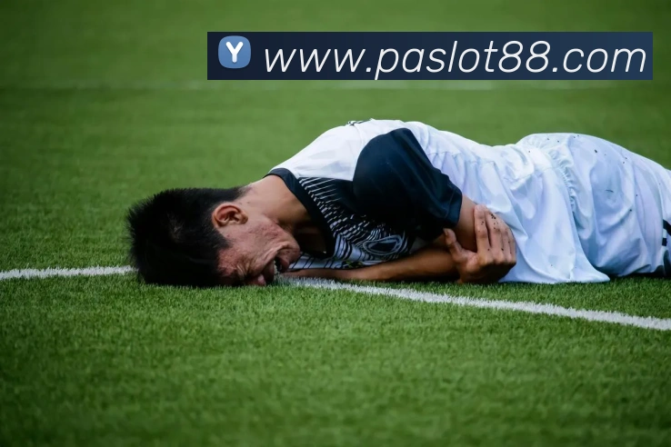 App Interface Preview